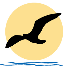 לוגו שחר הפקות